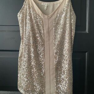 Sequin Sleeveless Dress